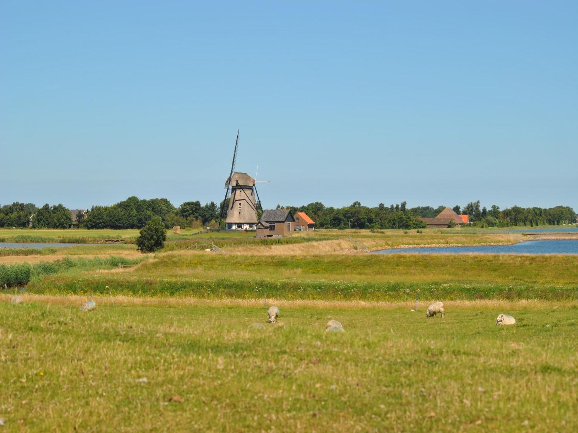 Lovely Holiday Home In Texel Near Sea Oost  Exteriör bild