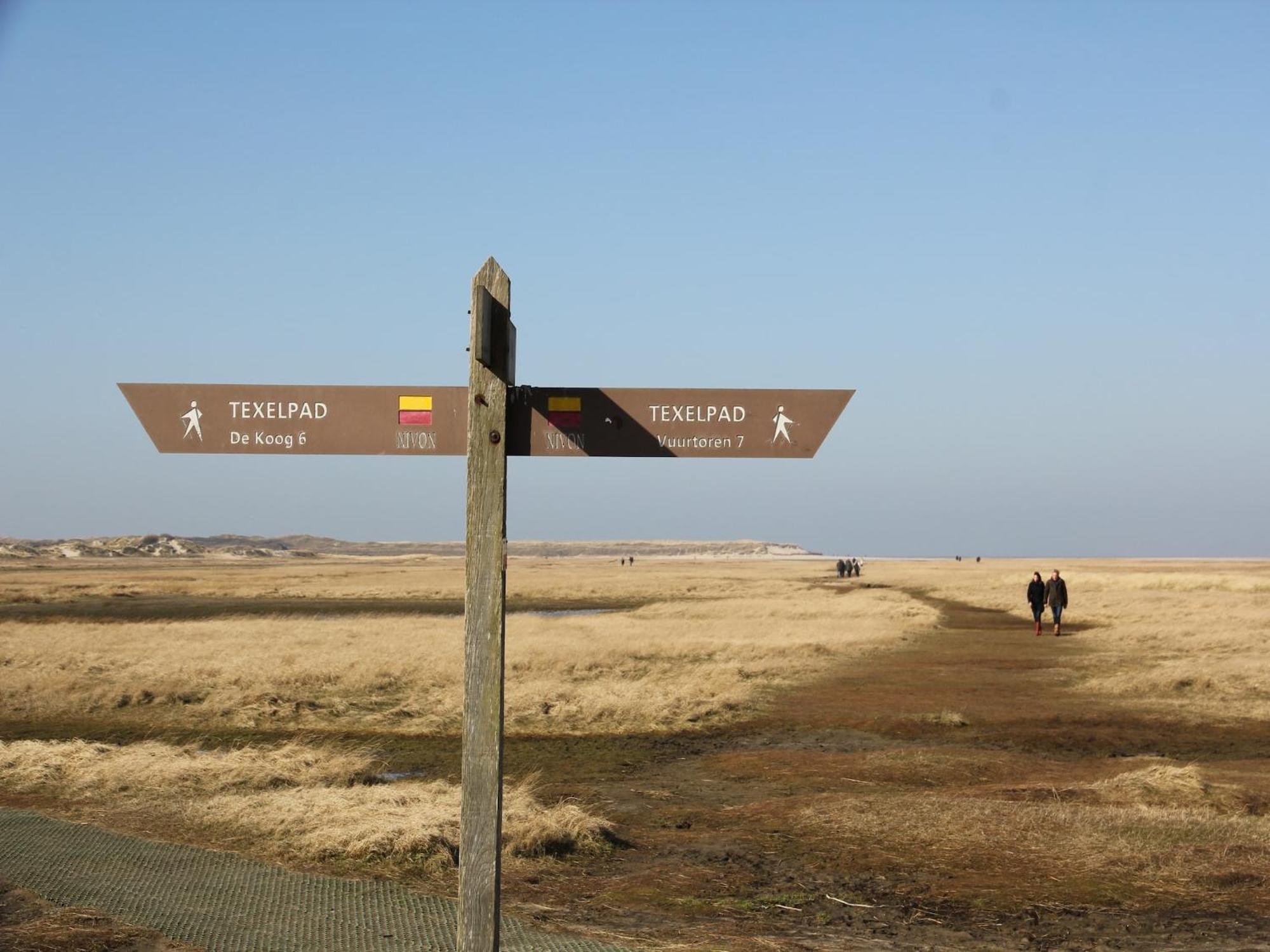 Lovely Holiday Home In Texel Near Sea Oost  Exteriör bild