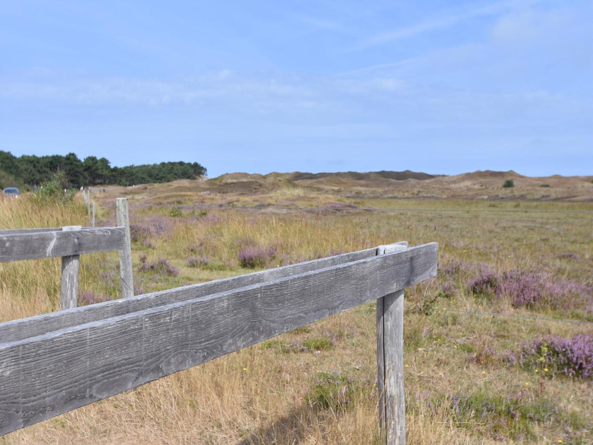 Lovely Holiday Home In Texel Near Sea Oost  Exteriör bild